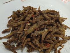 椒盐山坑鱼仔-食德乐·全鸽宴顺德菜(南湖店)