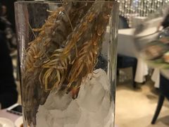 -鼎鼎香·港式火锅(北京SKP店)