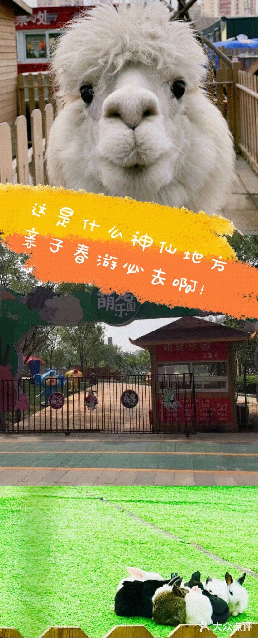 带着孩子一起来亲近大自然[吐]