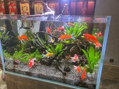 -苏州人家·精致苏帮菜(斜塘店)