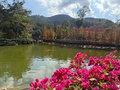 -广州市帽峰山景区