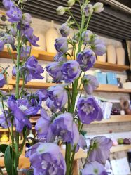 -今日陶艺(富力广场店)