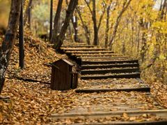 -帽儿山国家森林公园