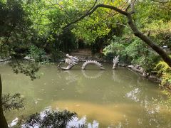 -汇龙潭