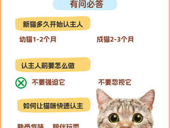 -唐小姐の猫狗洗护·购宠旗舰店(周浦万达店)