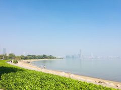 -深圳湾公园(南山区)