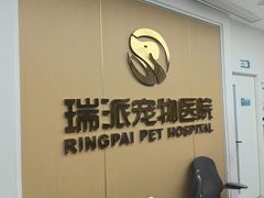 -瑞派康怡24h宠物医院·犬猫医疗中心·微创绝育(瑞景分院)