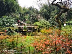 -龙头寺公园