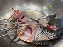 -草墩罗非鱼庄•野生菌•腊排骨(七星街上段店)