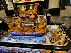 -蟹道乐(道顿堀本店)