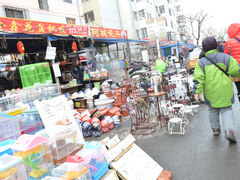 -哈尔滨道外花鸟鱼市场