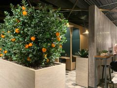 -K11 Design Store