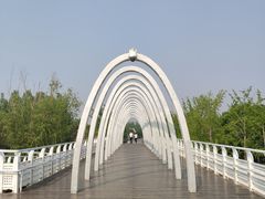 -大兴滨河森林公园