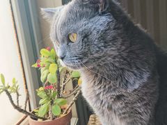 -Rabbit Cafe私房西餐甜点咖啡(栖霞路店)