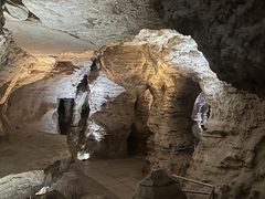 -怀托摩萤火虫洞