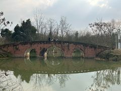 -白鹭湾湿地公园