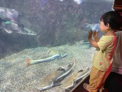 -中央电视塔旋转餐厅