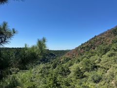 -青龙山景区
