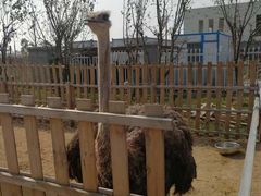 -陆地游轮吉林神农温泉