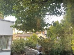 -福田家月子中心 产后 月嫂(市立母子医院店)