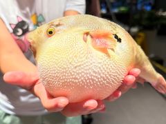 -永安鱼庄·镇江菜(东吴路店)