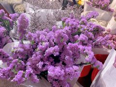 -循礼门鲜花花市(武汉循礼门店)