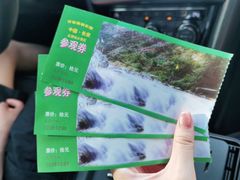 -沣峪森林公园龙潭戏水景区