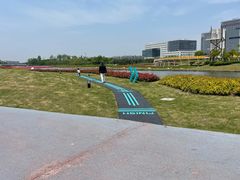 -春花秋色城市公园