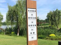 -九科绿洲