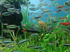 -太平洋海底世界