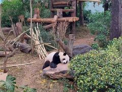 -南宁市动物园