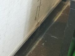 -桔子酒店(上海西藏北路地铁站店)