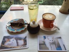 Anne猫窝咖啡屋-Anne猫窝咖啡屋