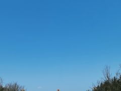 -法门文化景区-合十舍利塔