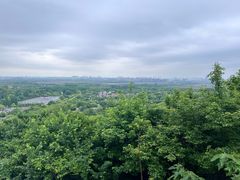 -上海佘山国家森林公园西佘山园