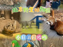 -北京野生动物园