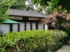 -十八棵（老龙井）御茶园(老龙井店)