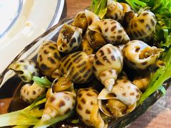 秘制糟花螺-周家二小姐的菜(西津渡店)