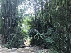 -广州市白云山风景名胜区