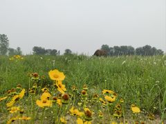 -兴安湖生态运动公园