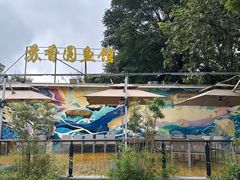 -丁老爷子苏香圆