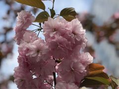 -苏州河梦清园环保主题公园