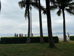 -福田红树林生态公园