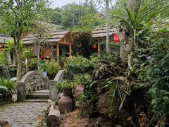 -青城甲(青城山店)