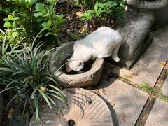 -谷咖啡·鲜花绿植花园餐厅