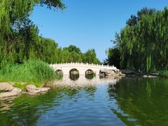 -晋祠公园