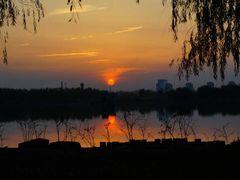 -大兴滨河森林公园