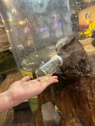 -Zoolung Zoolung动物主题公园(海信广场店)