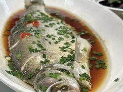 -乾隆美食·本帮菜(黄河路店)