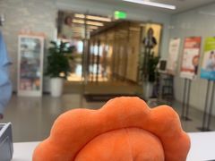 -马泷齿科·成都锦江置略马泷口腔门诊部(IFS国金中心店)